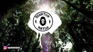 HUGE BIGFOOT FOOTPRINTS! in the snow! Massive Creature!? | Squatch Watch