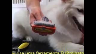 furminator e com a nikko distribuidora