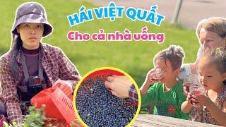 Picking Fruits and Inviting the Whole Family to Drink Blueberry Juice - Thuy Jyri Family Finland