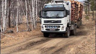 Volvo лесовоз.Молодые операторы(помогаторы)