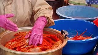 양양댁 추천맛집 주문진 어민시장 홍게쪄먹기  Red Snow Crab in Gang-neong