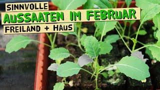 Sinnvolle Aussaaten im Februar für deinen Selbstversorger Gemüsegarten - Im Haus und im Freiland.