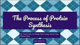 The Process of Protein Synthesis - Sean Chen, Ivy Huang, Irene Leung, Gaven Chan, Marcus Chan