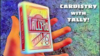 Cardistry with TALLY!