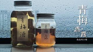 青梅酒｜青梅露｜Plum wine & Plum syrup｜asmr