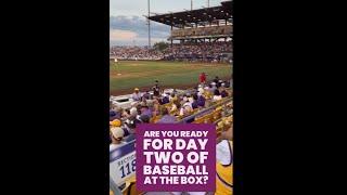 Strikeout King Kade Anderson Leads LSU vs. DBU