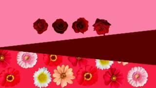Intro programa "Camino al Amor"