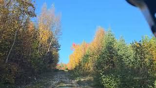 Beautiful Fall Colors And Falling Into A Hidden Hole On Rough Road