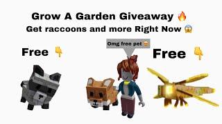 Grow a garden Giveaway | free pets ️ | #roblox #giveaway #robuxgiveaway #growagarden #bloxfruits