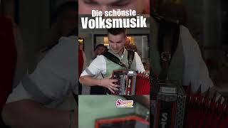 Die schönste Volksmusik! #volksmusik  #oberkrainer  #harmonika  #steirischeharmonika