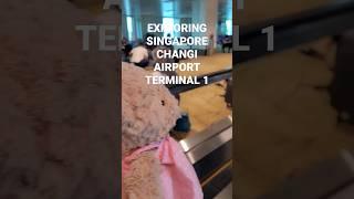 싱가포르 창이공항 1터미널 Singapore Changi Airport Terminal 1