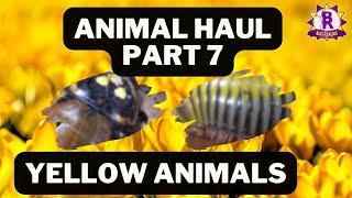 MASSIVE ANIMAL HAUL! part 7 - My YELLOW animals!