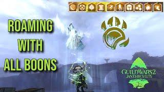 The new BEST Roaming Build In GW2!? - Condition Boon Soulbeast Roaming Build Guide