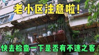 天呐！这家人是捅了蛇窝了吗？家里怎么会招来这么多蛇？