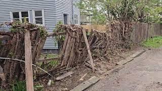 Dead TREE FALL on the ROOF of the HOUSE