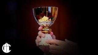 Catholic Mass Today: 9/29/24 | Twenty-Sixth Sunday in Ordinary Time