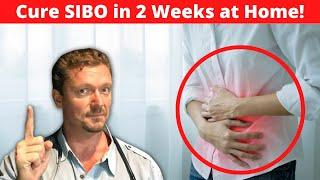 Cure SIBO in 2 weeks! [Bloating & Belly Pain Gone]