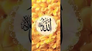 wo mera nabi ha|Sayeed hassan Ullah husaani|mindful naat|mindful Hajj|sufi  bliss#naat#islam#short