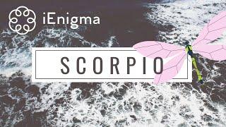 SCORPIO: This person is in LOVE with your Hurricane  chasing you like a puppy!  June 15-21