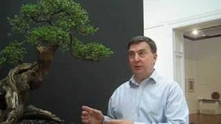 Tony Tickle, Bonsai Artist