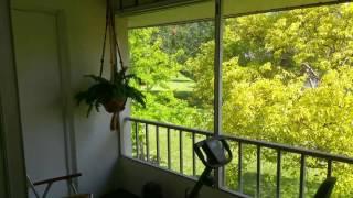 Lovely 1 Bedroom / 1 Bath Condo for Rent - Bradenton, FL