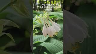 맨발로 서구 한바퀴 상무시민공원 맨발산책로 #광주서구 #서구프렌즈 #서구맨발로 #상무시민공원맨발로