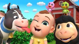 Old MacDonald Had a Farm | Newborn Baby Songs & Nursery Rhymes