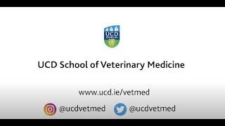 UCD School of Veterinary Medicine - Graduate Entry Veterinary Medicine (MVB) Programme 2022/2023