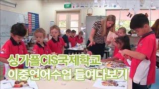 싱가폴 CIS국제학교 이중언어수업 들여다보기ㅣ싱가포르유학 [신세기유학원]
