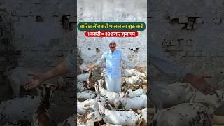 बारिश में बकरी पालन शरू करना किसानो के लिए खतरे की घंटी   Goat Farming