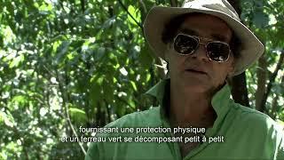 Oxfam short 2 HD French