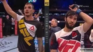 Conor McGregor and Zubair