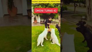 M S Dhoni celebrates Birthday with his lovely pets #dhoni #msdhoni #cricket