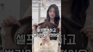 셀프염색 ㅇㅓㄹㄹㅜㄱ  경험있는사람 