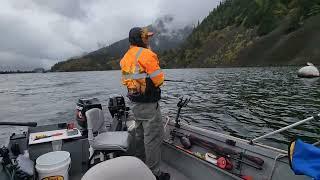 Catching a Jack, immature Chinook Salmon that returned years early to fresh.