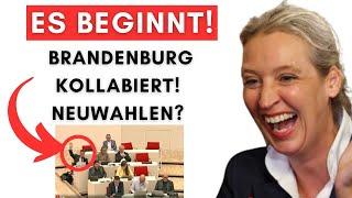 In Brandenburg: Erste BSW´ler laufen zu AfD über!