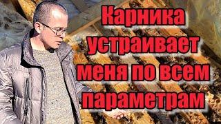 Карника устраивает меня по всем параметрам! Алексей Белоус