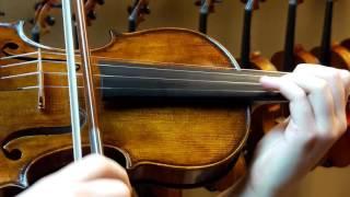 Violin Completed at Andrew's Fine Violins by Andrzej Dekacz