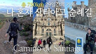  29일간 750km 걸었던 산티아고 순례길 몰아보기 ㅣ 프랑스길, 2023년 완주, 알베르게 정보 더보기란에 정리 🫶