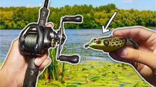 Topwater FROG Fishing for BIG BASS (Bass Fishing)