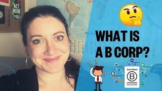 What is B Corp Certification? How and why do businesses get B Corp Certificates (Full Explanation)