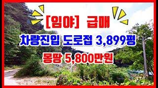 [급매 임야] 차량진입 도로접한 임야매매. 포항부동산 기계 화봉리 포항토지매매 포항임야매매 #착한부동산tv