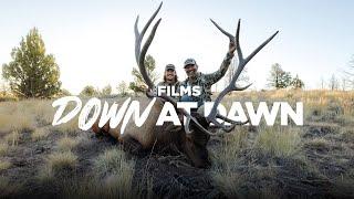 Down at Dawn, an Epic Elk Hunt | Eberlestock