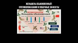 Женьшень обыкновенный: противопоказания и побочные эффекты #женьшень #народнаямедицина #фитотерапия