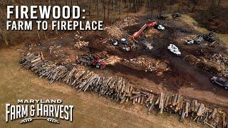 One Farm Makes Firewood a "Blazing" Success | Maryland Farm & Harvest