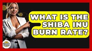 What Is the Shiba Inu Burn Rate? - CryptoBasics360.com