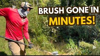 Clearing Overgrown Brush with Ease!