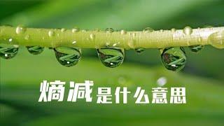 熵减是什么意思？熵到底又是什么？