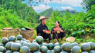 Dwarf family harvests watermelons goes to market sell - takes care of the goats and chickens