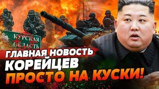  ВОЙСКА КНДР ПРУТ ВПЕРЕД ПОД КУРСКОМ! ВСУ РАЗНОСЯТ СОЛДАТ КИМА! | ГЛАВНАЯ НОВОСТЬ